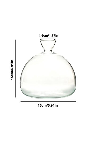 Choice 15x15cm Avocado Seed Starter Vase Transparent Glass Vase Vase For Grow...