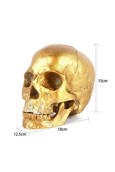 Choice RS-6119 جمجمة ذهبية مصنوعة يدويًا من الراتنج، بحجم 1:1، قطعة ديكور هيك...