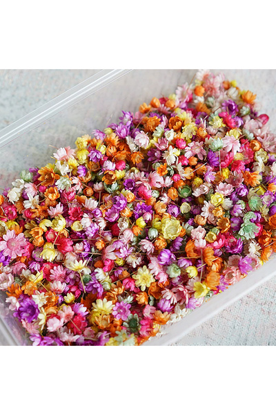 Choice 140 قطعة من زهور الورد الاصطناعية ذات الألوان العشوائية، بتصميم كلاسيك...