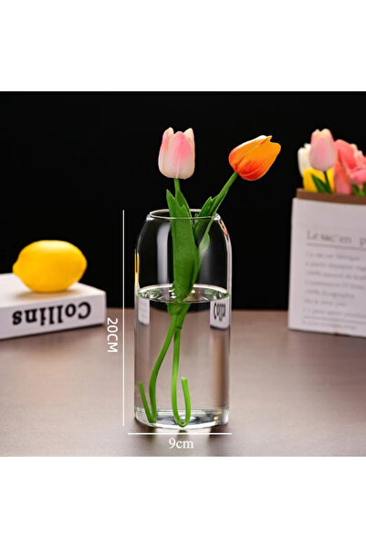 Choice 1Pcs-L Creative Hydroponic Plant Glass Simple Modern Bottle Flower Vas...