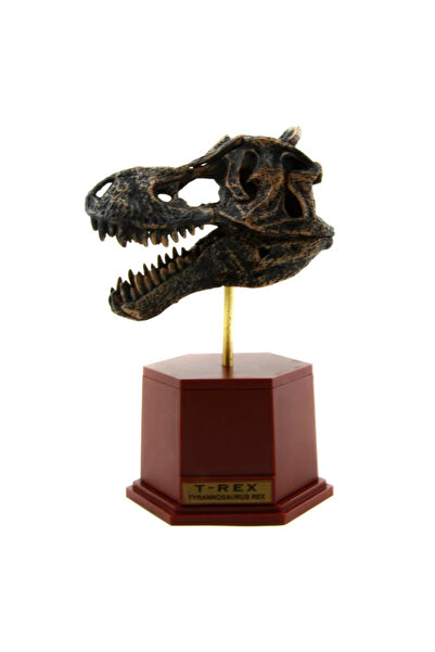 Choice 1 Dinosaur Skeleton ABS Assembly Dinosaur Toys Model Building Kits Col...