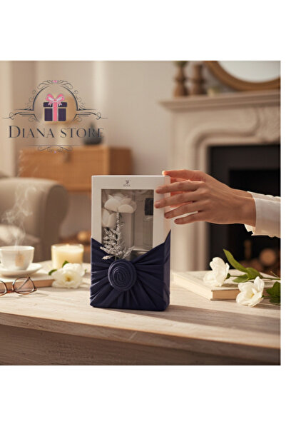 GIFT Diffusers and matching vases, 12 pieces