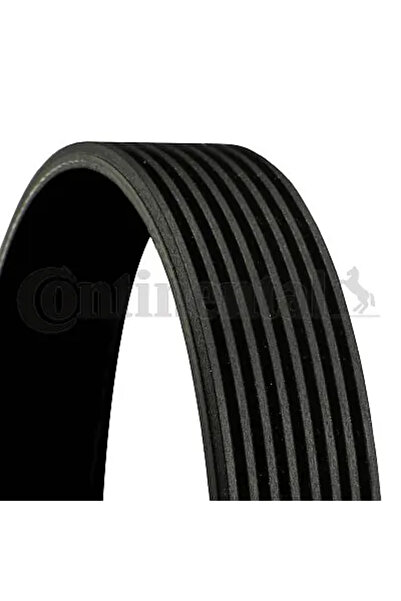 Continental Curea Transmisie Cu Caneluri Scania G 1/P 1/R 1