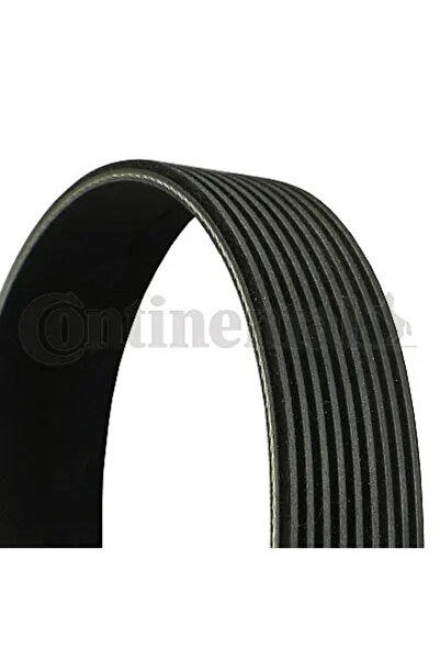 Continental Curea Transmisie Cu Caneluri Daf Cf 85/Xf 105