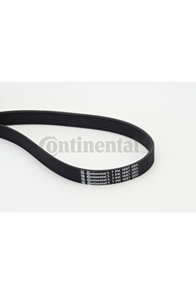 Continental Curea Transmisie Cu Caneluri Nissan 10-Trail 3/NV400 Bus/NV400 Ca...