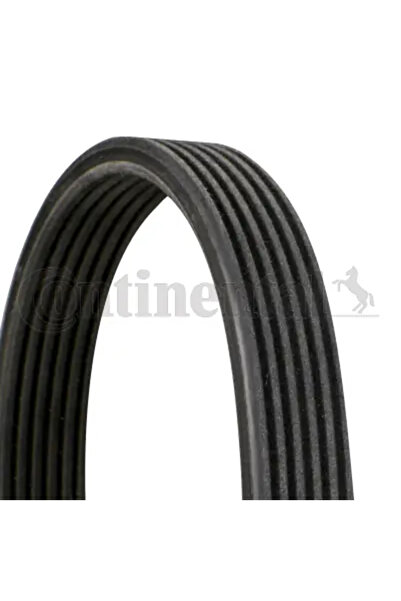 Continental Curea Transmisie Cu Caneluri Volvo C70 1/S40 1/S70