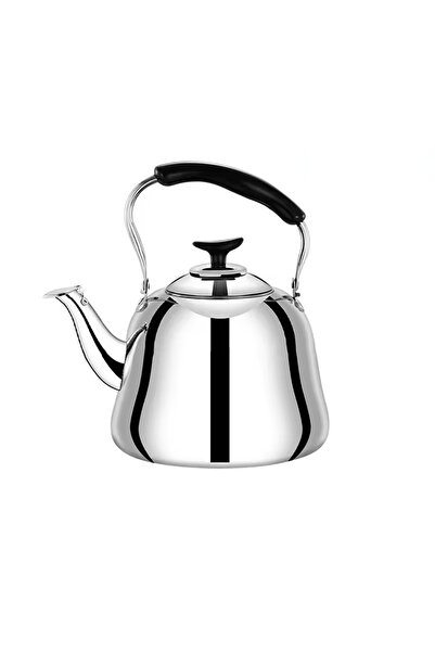 BIKIGHT غلاية شاي من الفولاذ المقاوم للصدأ سعة 2 لتر مزودة بفلتر وصفارة، بتصم...