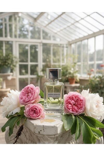 lacrimosa Amissa Somnia 50 ml Kadın Parfüm Çiçeksi & Ferah, Gül, Şakayık, Paçuli