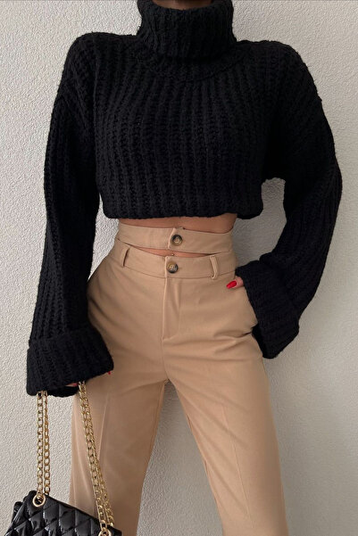Qaju Textured Turtleneck Crop Knit Sweater