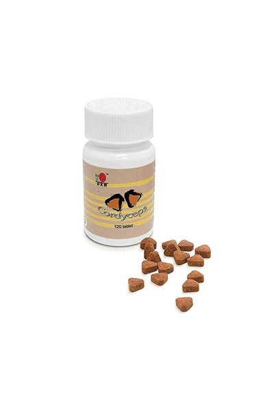 DXN فطر الكورديسيبس 120