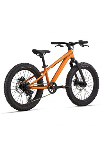 Other Bicicletă pentru copii GIANT STP 20"er Sandstorm 2024