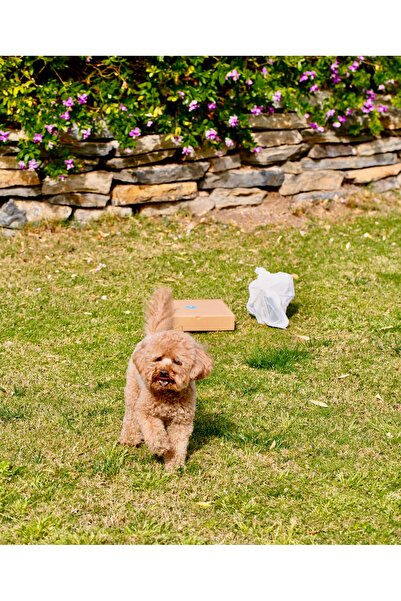 Packoala Kompostlanabilir Köpek Kaka Poşeti | %100 Bitki Bazlı Compostable | ...