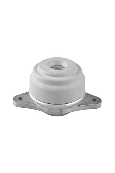 TEDGUM Suport Motor Pe Ambele Parti Mercedes-Benz S-Class