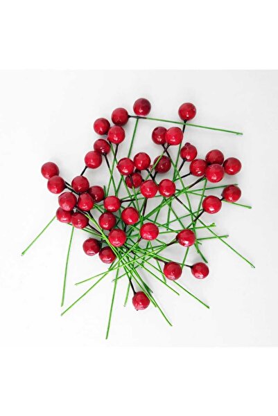 Şönil Dünyası Mini Kokina Yılbaşı Çiçeği Kırmızı 20 Adet