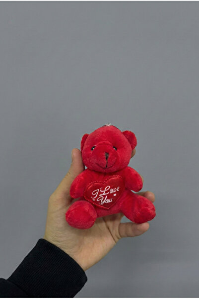 Massaltay سلسلة مفاتيح على شكل دمية دب من القطيفة بنمط مخدة مزخرفة عليها عبار...