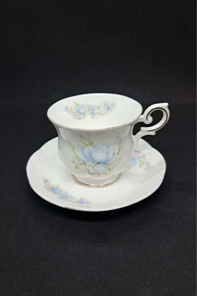 ROYAL CANTERBURY Blue Satsuma Fine Bone China Antique Porcelain Teacup 2 Piec...