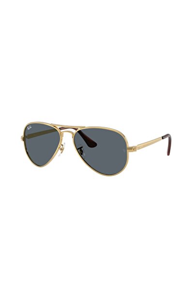 Ray-Ban Güneş Gözlüğü RB3925 58 001/R5