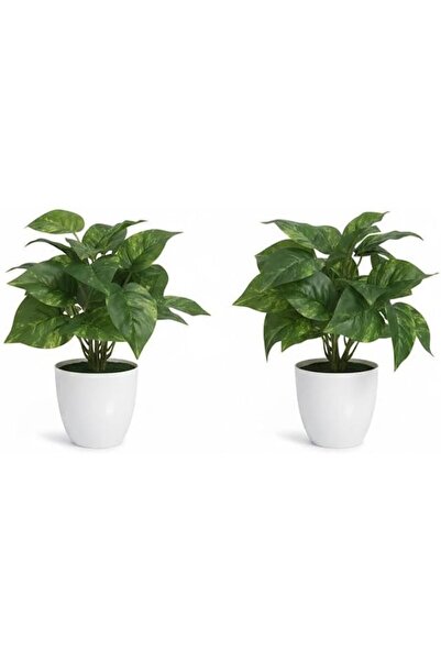 4as 4A.S نباتات صناعية في أصص، مجموعة من 2 أصص خزفية بيضاء مع أوراق فيلوديندر...