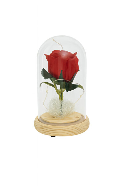 OEM Trandafir Rosu artificial in Cupola de Sticla