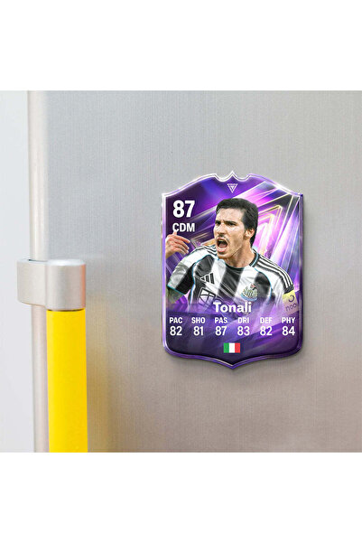 11GOATS Magnet de frigider - Tonali