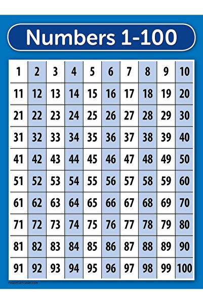 ALAYRA International لوحة الأرقام من 1 إلى 100 من ALAYRA Palace Learning - مغ...