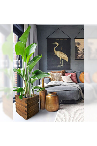 Artenova Ghiveci decorativ Flower Pot din lemn de pin, maro