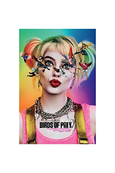 ALAYRA International ألايرا - طيور جارحة - رؤية النجوم (ملصقات كبيرة)