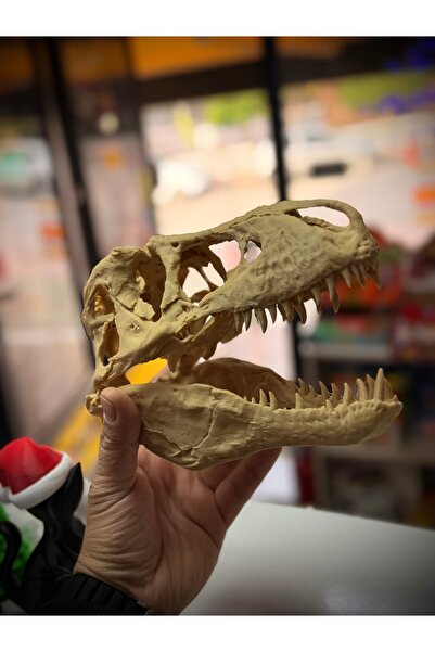 3DESİNGER 3D DİNAZOR SKULL