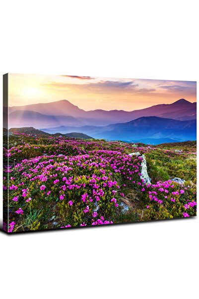 ALAYRA International لوحة جدارية فنية مستوحاة من غروب الشمس في جبال بلو ريدج ...