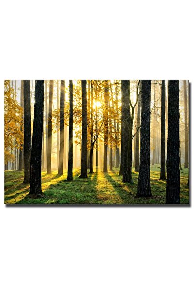 ALAYRA International ألايرا - شجرة الحظ - أوراق صفراء خريفية - غابة - شمس مشرقة - بقرة حلوب - شجرة المال - منظر طبيعي - لوحة فنية