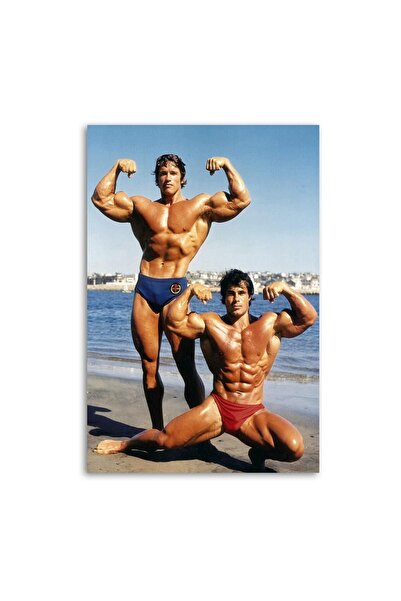 ALAYRA International ألايرا، أرنولد شوارزنيجر وفرانكو كولومبو يتخذان وضعية تصوير على شاطئ فينيسيا، ملصق لوحة فنية زخرفية