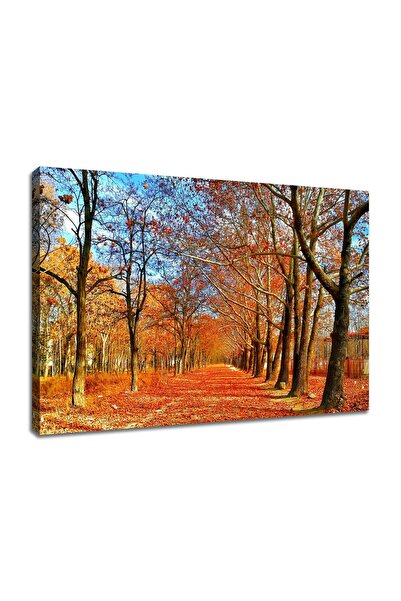 ALAYRA International ALAYRA Landscape Canvas Wall Art Autumn Maple Grove Pain...
