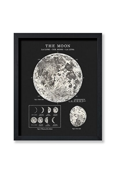 ALAYRA International ALAYRA Poster Master Vintage Celestial Poster - Retro Th...