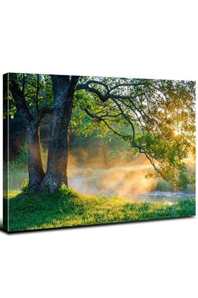 ALAYRA International ALAYRA Vintage Nature Wall Art Forest Landscape Picture ...