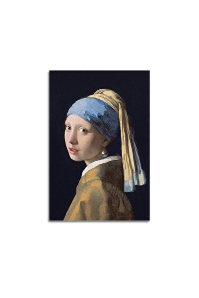 ALAYRA International ملصق ألايرا، الفتاة ذات القرط اللؤلؤي، لوحات زيتية للفنا...