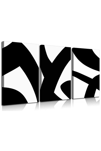 ALAYRA International مجموعة ألايرا المكونة من 3 قطع من اللوحات الجدارية القماشية التجريدية باللونين الأبيض والأسود، بإطارات، بتصميم عصري بسيط وخطوط بسيطة.