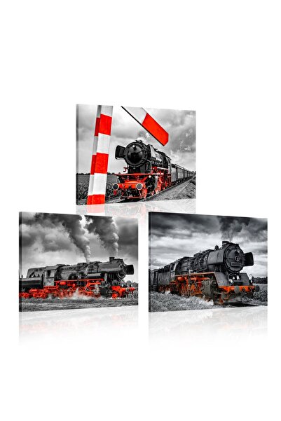 ALAYRA International لوحة جدارية من ثلاث قطع من قماش ALAYRA، ملصق قطار بخاري ...