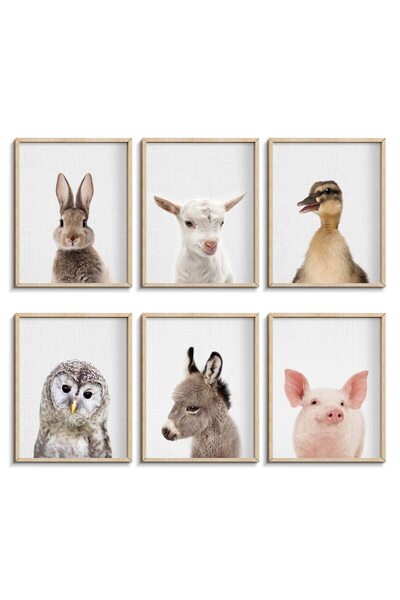 ALAYRA International ملصقات وطبعات حيوانات صغيرة من ALAYRA Farmhouse، أرنب كي...