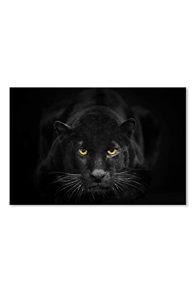 ALAYRA International ALAYRA Black Panther Wall Art Black and White Wildlife P...