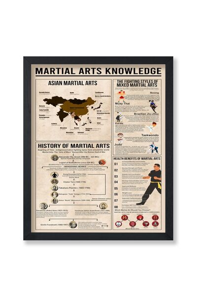 ALAYRA International ملصق ألايرا - ملصق معرفة فنون القتال - طباعة أنماط القتا...