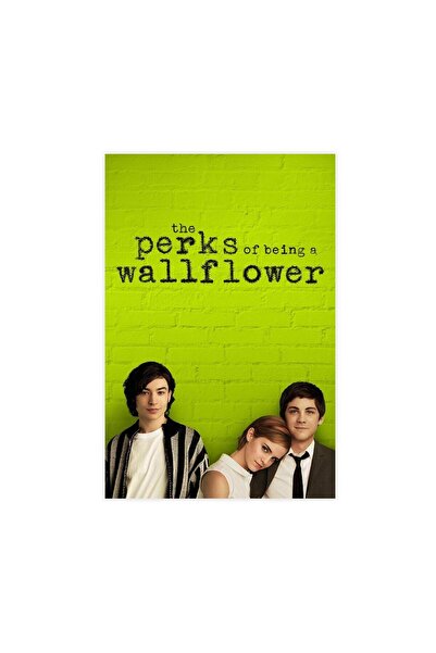 ALAYRA International ألايرا - مزايا أن تكون خجولاً - ملصق فيلم كلاسيكي رومانس...