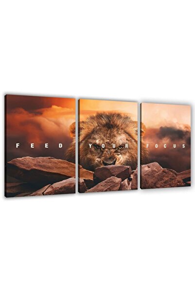 ALAYRA International ملصق تحفيزي من ألايرا، لوحة جدارية ملهمة، 3 قطع، لوحة قم...