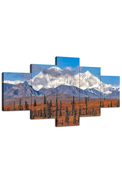 ALAYRA International ديكور جداري مستوحى من برج ألايرا، حديقة دينالي الوطنية، ...