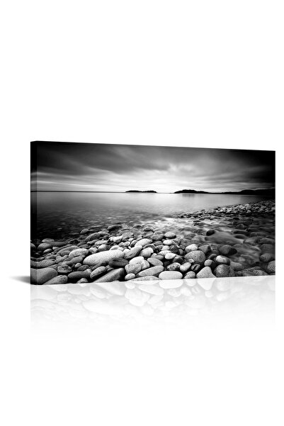 ALAYRA International لوحة جدارية من قماش الكانفاس بتصميم شاطئ أبيض وأسود من أ...