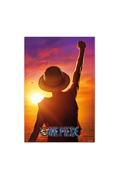 ALAYRA International ملصق ألايرا، ملصق ون بيس، مونكي دي لوفي، طباعة فنية - دي...