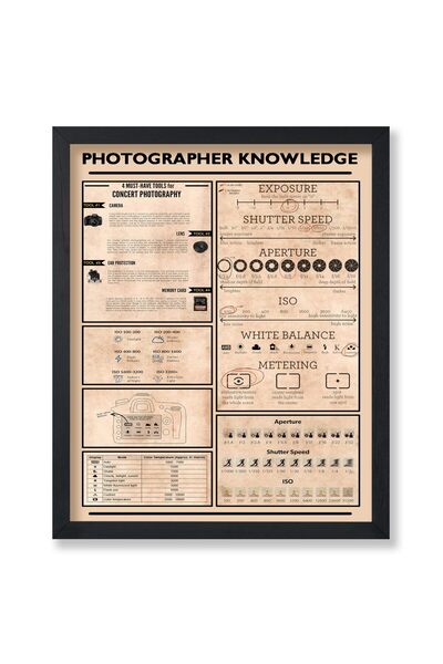 ALAYRA International ملصق ألايرا - ملصق معرفة المصور المحترف - طباعة مخطط التصوير الفوتوغرافي - فن إنفوغرافيك -