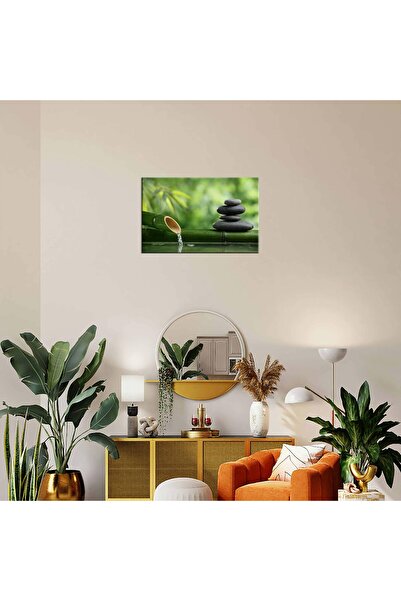 ALAYRA International ALAYRA Spa Still Life Canvas Wall Art, Zen Stone Picture...