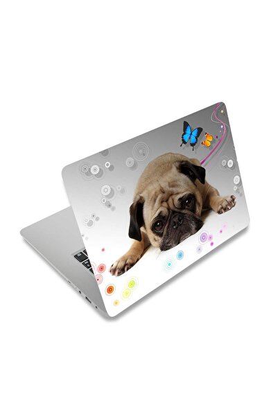 ALAYRA International ملصق حماية للكمبيوتر المحمول من ALAYRA، مقاسات 12 بوصة، 13 بوصة، 13.3 بوصة، 14 بوصة، 15 بوصة، 15.4 بوصة، 15.6 بوصة