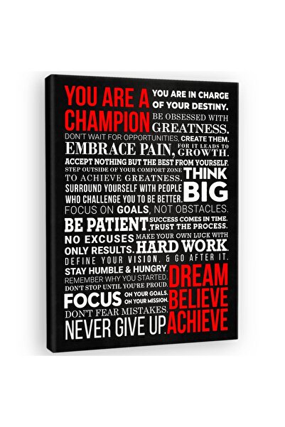 ALAYRA International ALAYRA A Champion's Mantra Motivational Poster - 12 x 16...