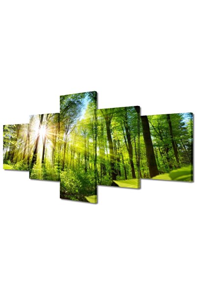 ALAYRA International ALAYRA 5 Pieces Green Deciduous Trees Framed Poster Canv...